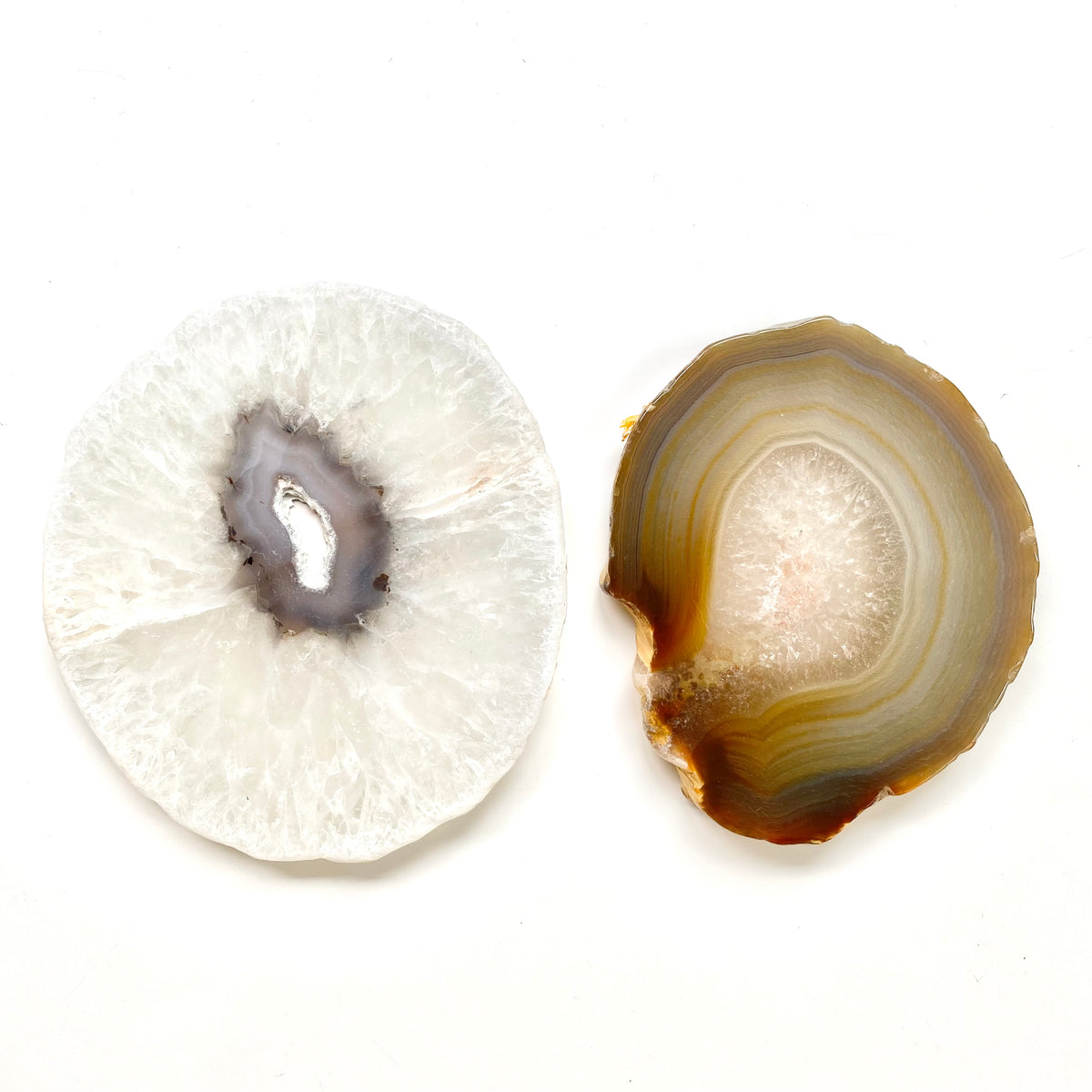 Agate Slice White | Brown