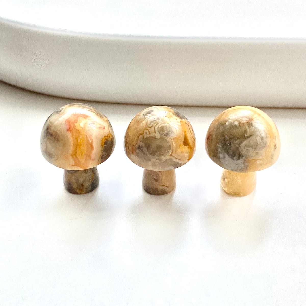 Assorted Mushrooms Mini