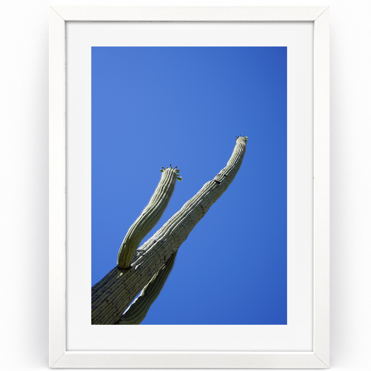 Reaching for the Blue