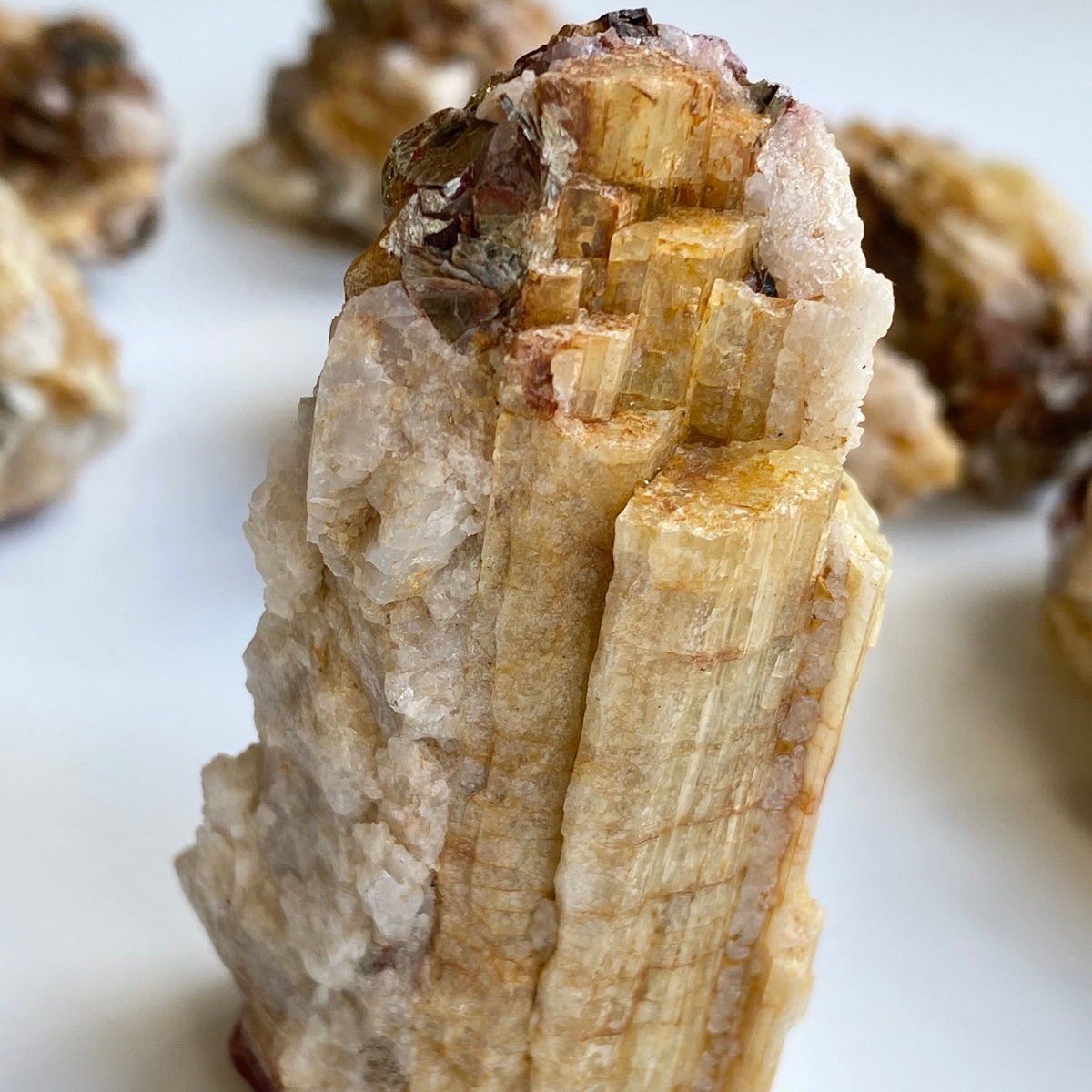 Yellow Tourmaline in matrix with Quartz + Mica