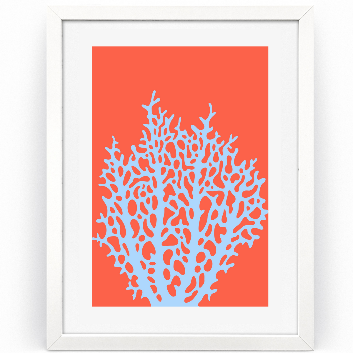 Coral Daydream