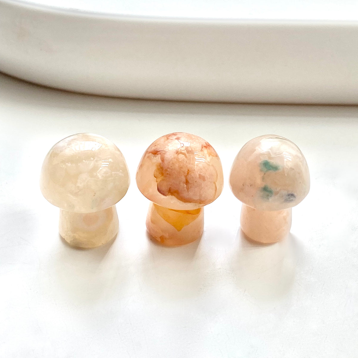 Assorted Mushrooms Mini