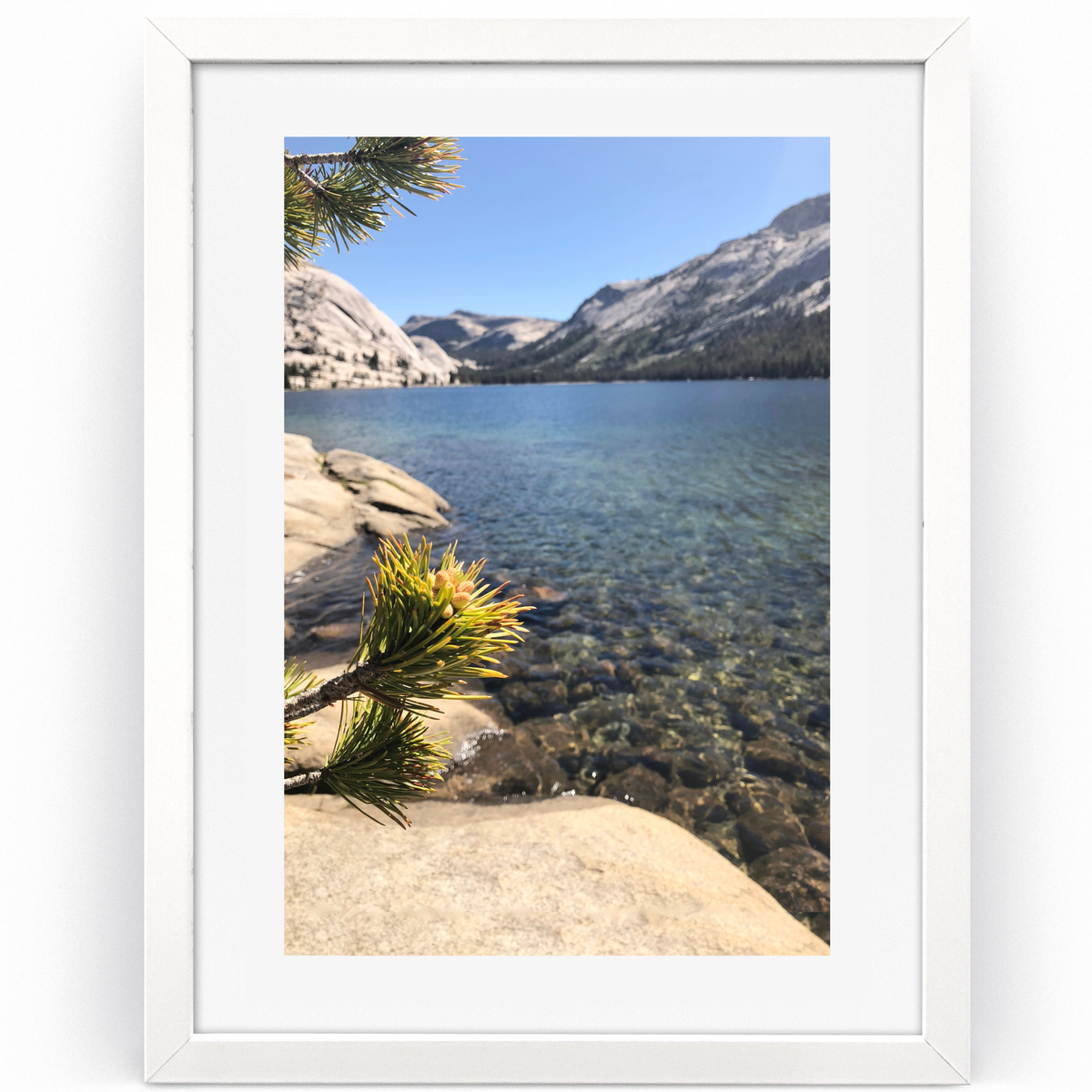 Where the Mountains Meet the Water