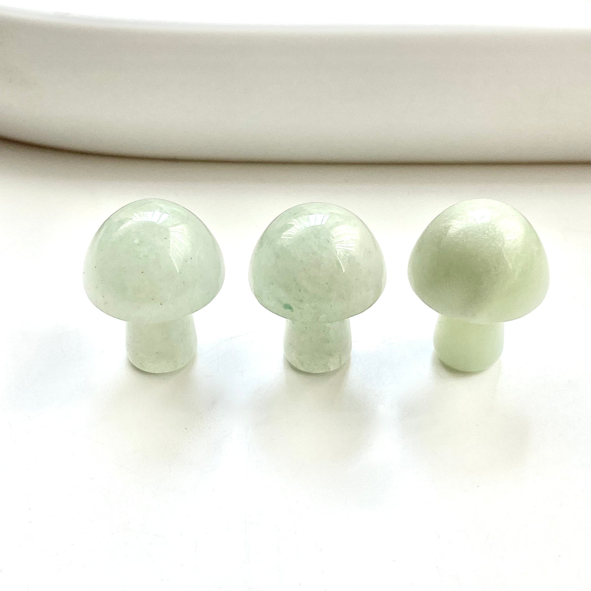 Assorted Mushrooms Mini