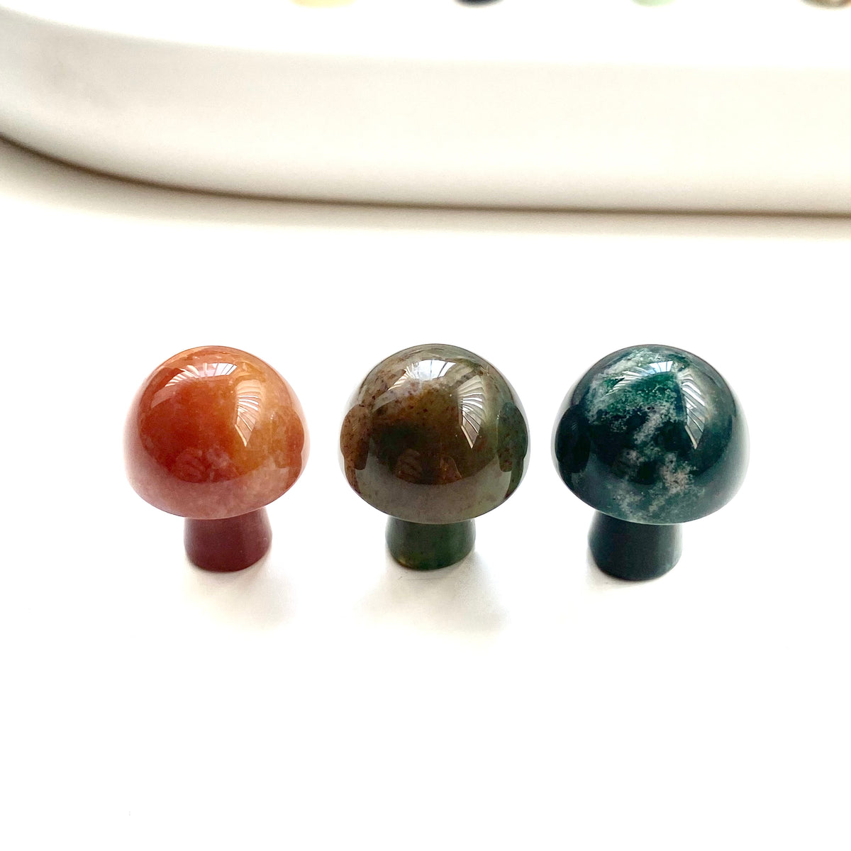Assorted Mushrooms Mini
