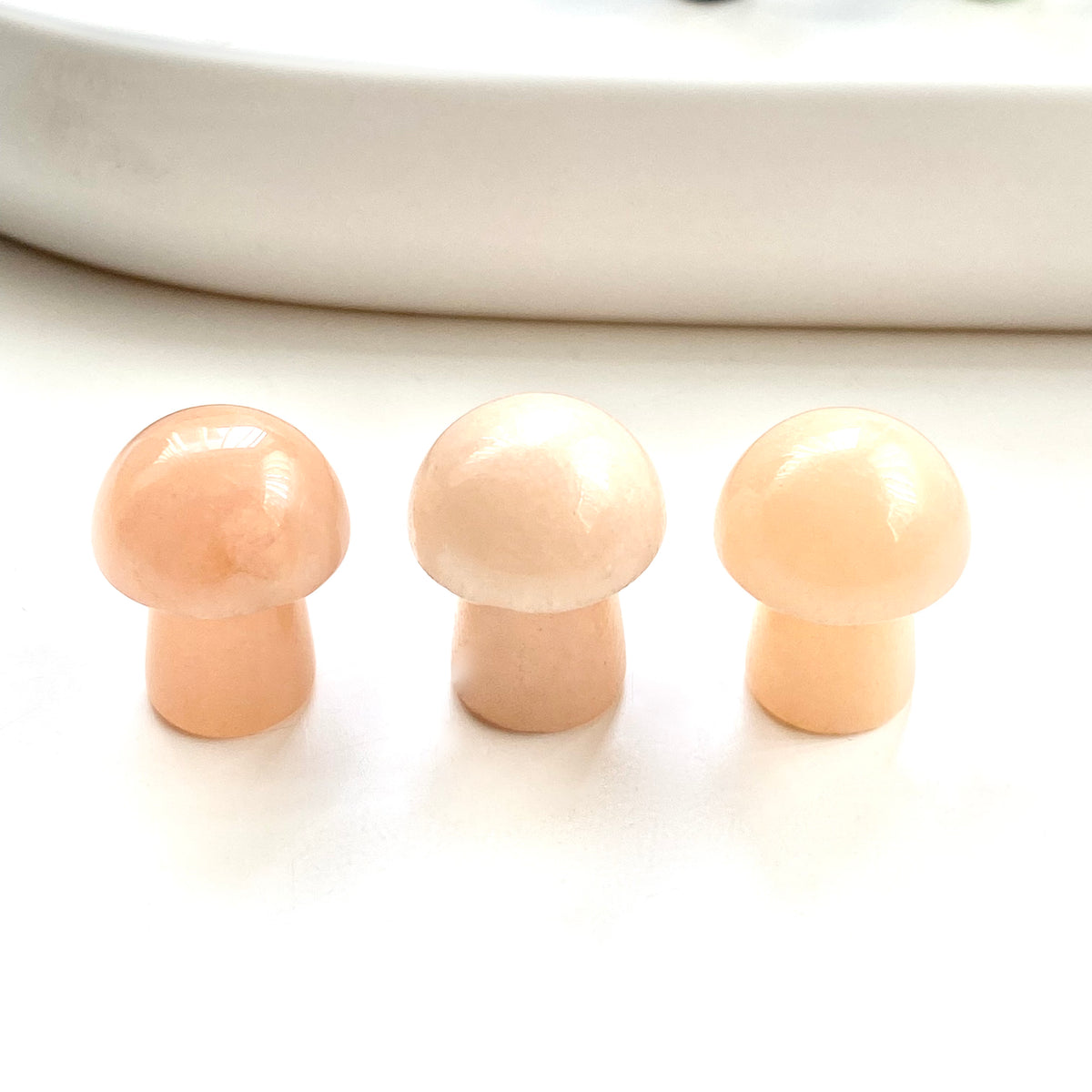 Assorted Mushrooms Mini