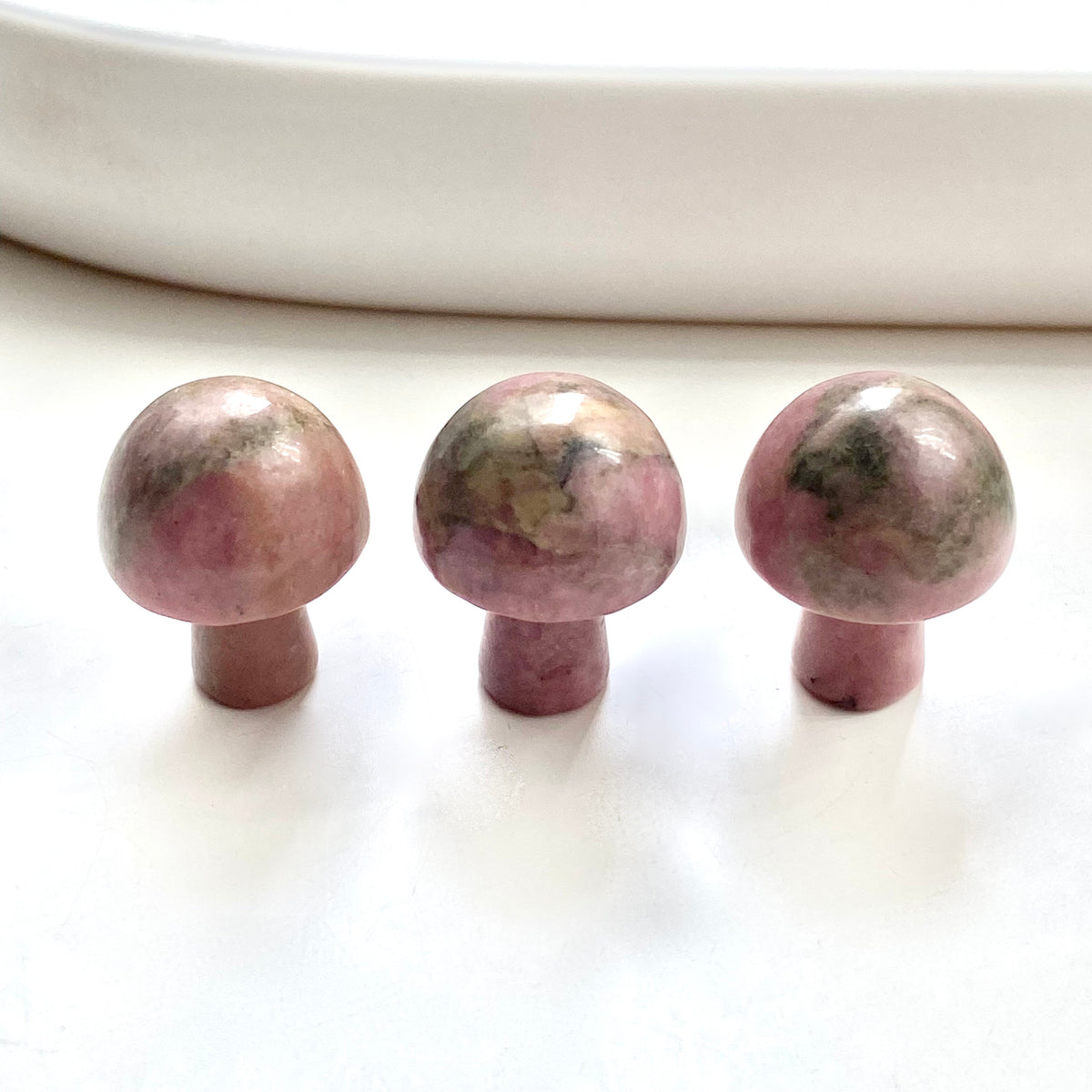 Assorted Mushrooms Mini