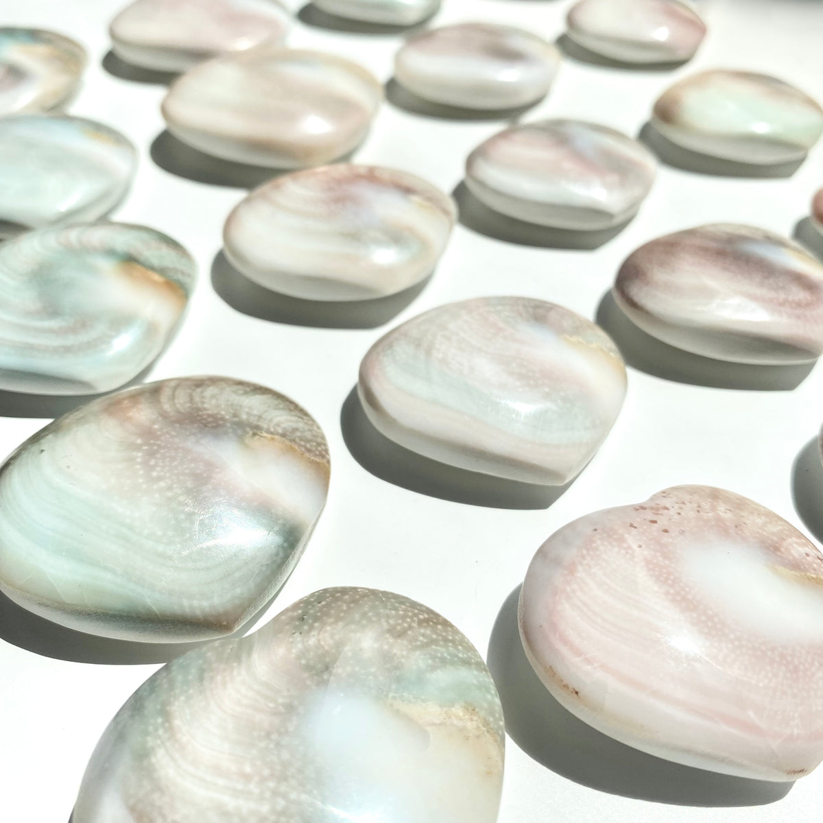 Shiva Shell Heart